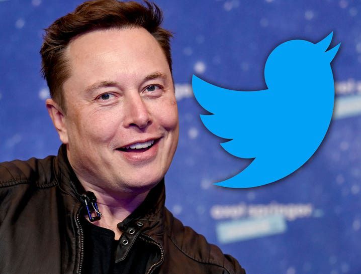 The Reason Elon’s $8 Blue Checkmarks Works for Twitter
